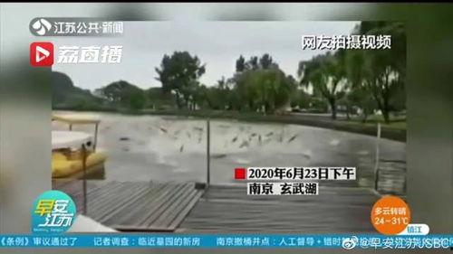水上公园爆料视频播放网站,热门爆料视频网站带你畅游水上乐园精彩瞬间 第3张 水上公园爆料视频播放网站,热门爆料视频网站带你畅游水上乐园精彩瞬间 第3张